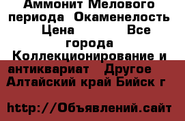 Аммонит Мелового периода. Окаменелость. › Цена ­ 2 800 - Все города Коллекционирование и антиквариат » Другое   . Алтайский край,Бийск г.